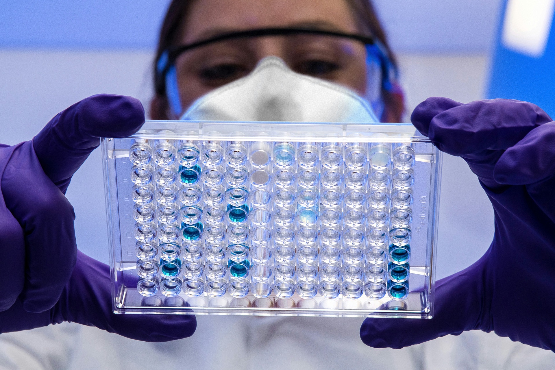 Lab technician inspecting sample tray